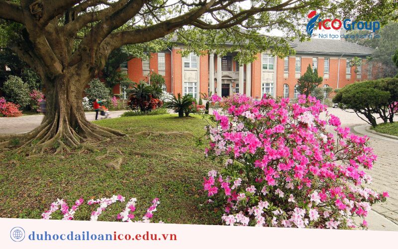 khuon vien ntu