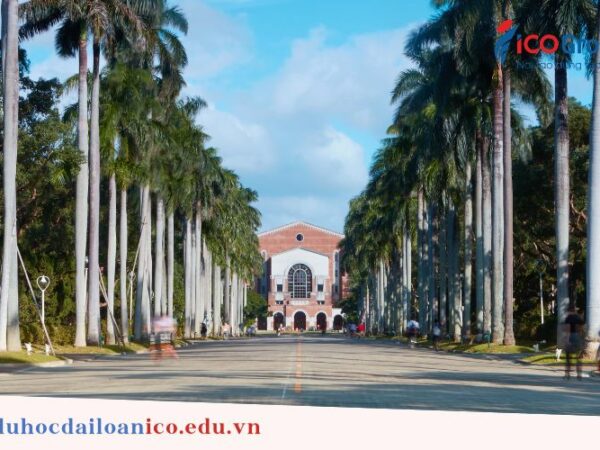 du hoc dai hoc quoc lap dai loan